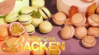 Das große Backen 2014  Macarons Klein aber oho [upl. by Lakin]