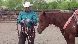 Overview of Headstall Bit End Selections [upl. by Fiann]