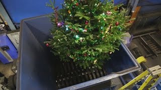 SSIs Shred of the Week Christmas Tree [upl. by Dryden472]