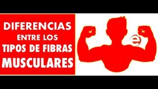 DIFERENCIAS ENTRE LOS TIPOS DE FIBRAS MUSCULARES [upl. by Tdnaltroc]