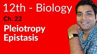 FSc Biology Book 2 Pleiotropy Epistasis  Ch 22 Variation and Genetics  12th Class Biology [upl. by Amandy]