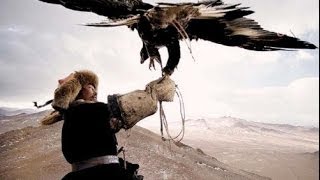 CACCIANDO  Caccia in Mongolia Eagles vs Wolves amazing hunt [upl. by Inalial]