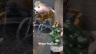 Some of my many pond spitters gardendesign pondspitter frog waterfeatures [upl. by Uol]