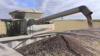 Saskatchewan Crops From Field to Port [upl. by Ahsiral]