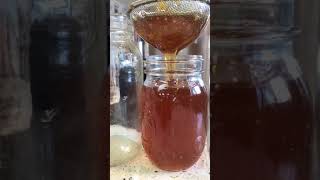 Strangely Satisfying Honey  Time Lapse [upl. by Aenil]