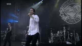 The Bouncing Souls  Mathem Live at Area 4 Festival 2011 [upl. by Auhsohey218]