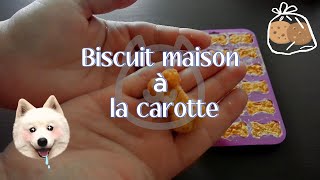 Biscuit maison pour chien à la carotte [upl. by Acirretahs666]