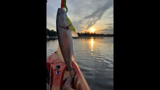 Inshore Fishing Wilmington NC [upl. by Slen]