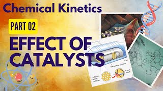 The Catalyst Effeect In Chemistry edexcelchemistry chedexcel [upl. by Blancha277]