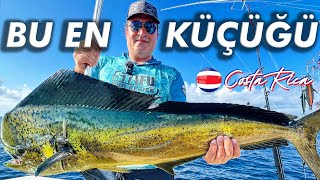 Türkler Kosta Rika’da Rekorlara Doymadı  BLUE MARLIN SAILFISH MAHI MAHI [upl. by Vasiliki]