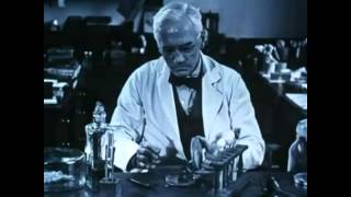 How Alexander Fleming Accidentally Discovered Penicillin [upl. by Leanora]