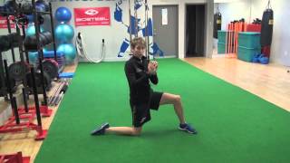 Goalie Training  Hip Structure Function amp Impingement in Goalies [upl. by Skvorak103]