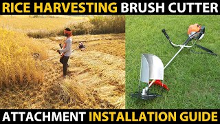 RICE HARVESTING BRUSH CUTTER  Brush Cutter Harvester Installation Guide  Paddy Harvesting Machine [upl. by Casilde]