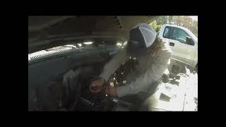 Edelbrock AVS2 rebuild and tuning [upl. by Eniamreg168]