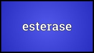 Esterase Meaning [upl. by Sib916]