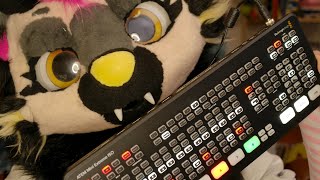 ASMR FURRY  Je te montre mon travail [upl. by Enomsed]