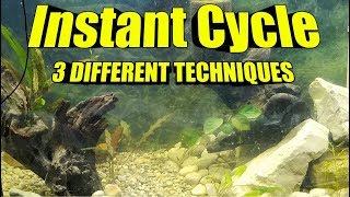 FAST Freshwater Fish Tank Instant Cycle  3 BEST Methods for an Aquarium Cycle [upl. by Bail]