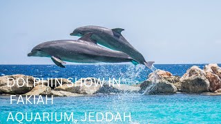 quotEnchanting Dolphin Spectacle A Captivating Show at Fakiah Aquarium Jeddahquot [upl. by Cesya]