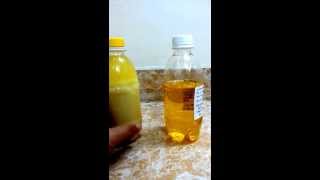 Extracted Fish Oil [upl. by Regor463]