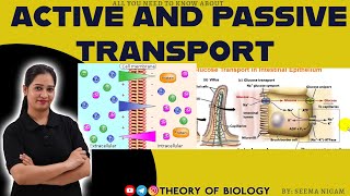 ACTIVE AND PASSIVE TRANSPORTATIONFUNCTION OF CELL MEMBRANEBIOLOGY XI NCERTCSIRLIFE SCIENCEPGT [upl. by Demetri]