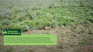 🎥 ¡Atención En Chaco la lucha por los bosques nativos toma un nuevo rumbo 🌳 [upl. by Enytsirk160]