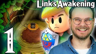 Endlich wieder zuhause  The Legend Of Zelda Links Awakening mit Etienne 1 [upl. by Arul]