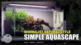 21  SIMPLE AQUASCAPING  45 CM TANK  PART 1 [upl. by Elleynod]