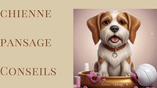 chienne pansage Conseils [upl. by Nohsav]