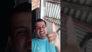 shortvideo viralvideo comedymovies funny [upl. by Gamal]