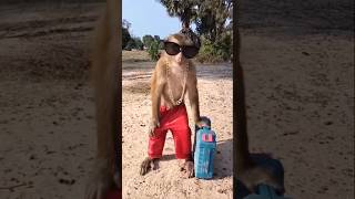 Manky comedy video viral [upl. by Olnton]