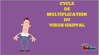 Vidéo Le cycle du virus grippal [upl. by Leahcin96]