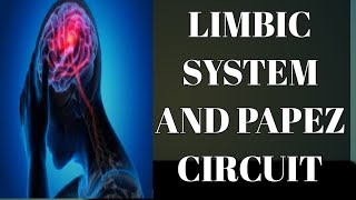 Anatomy of Limbic System and What is PAPEZ circuit [upl. by Vivie]