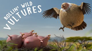 Vanishing Vultures  From Millions to near extinct [upl. by Aidroc]