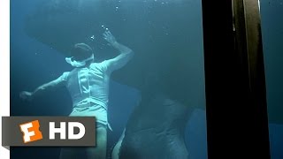 Star Trek 4 The Voyage Home 410 Movie CLIP  Swimming with the Whales 1986 HD [upl. by Peter368]