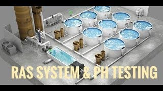 LOW COST RAS SYSTEM AQUAPONICS amp PH TESTING WATER TREATMENT Sajan David Mob918891870057 [upl. by Oivaf]