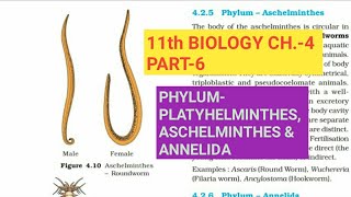 Class 11 BiologyCh4 Part6PhylumPlatyhelimnthes Aschelminthes amp AnnelidaStudy with Farru [upl. by Kloman]