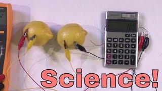 DIY  Build a Lemon Battery Power a Calculator with Lemons Amazing Chemistry Experiment [upl. by Yerffoeg]