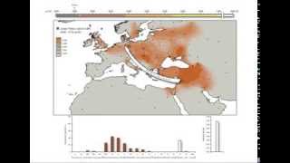 Ancient DNA Reveals Key Stages in the Formation of Central European Mitochondrial Genetic Diversity [upl. by Enyledam925]