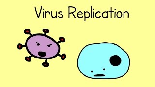 Virus Replication [upl. by Emyaj]