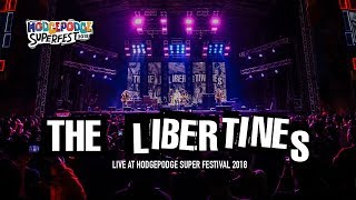 The Libertines quotCant Stand Me Nowquot Live at Hodgepodge Festival 2018 [upl. by Norvell]