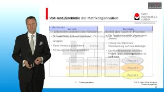 Formen der Projektorganisation im Projektmanagement [upl. by Irama453]