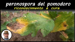 PERONOSPORA DEL POMODORO riconoscerla e curarla [upl. by Nandor]