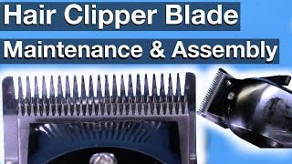 Hair Clipper Blade Assembly Maintenance and Cleaning how to [upl. by Nottage280]