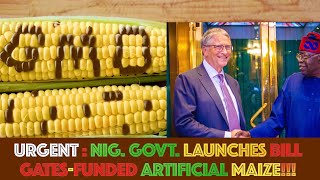 URGENT  Nig Govt Launches Bill Gates  Funded Artificial Maize [upl. by Bernadina]