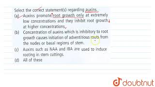 Select the correct statements s regarding auxins  11  PLANT GROWTH AND DEVELOPMENT  BIOLO [upl. by Aisenet]