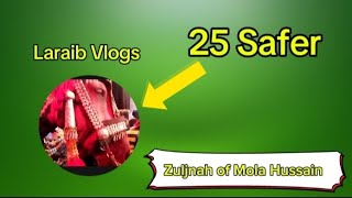 25 Safer  Zuljnah of mola Hussain 🥺 Laraib Vlogs [upl. by Kalfas882]