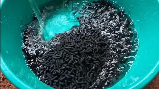 How to wash Activated Carbon Filter  Aquarium Filter media [upl. by Denby]