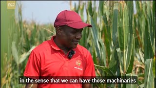 Des étudiants apprennent les techniques agricoles chinoises pour autonomiser lAfrique [upl. by Aisatna]