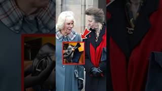 Camilla Humiliated as Princess Anne Catches Her Selling Queens Horses After Funeral shorts kate [upl. by Yrrad531]