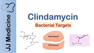 Clindamycin  Bacterial Targets Mechanism of Action Adverse Effects [upl. by Hochman460]